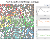patch_choice_enhanced interface.png